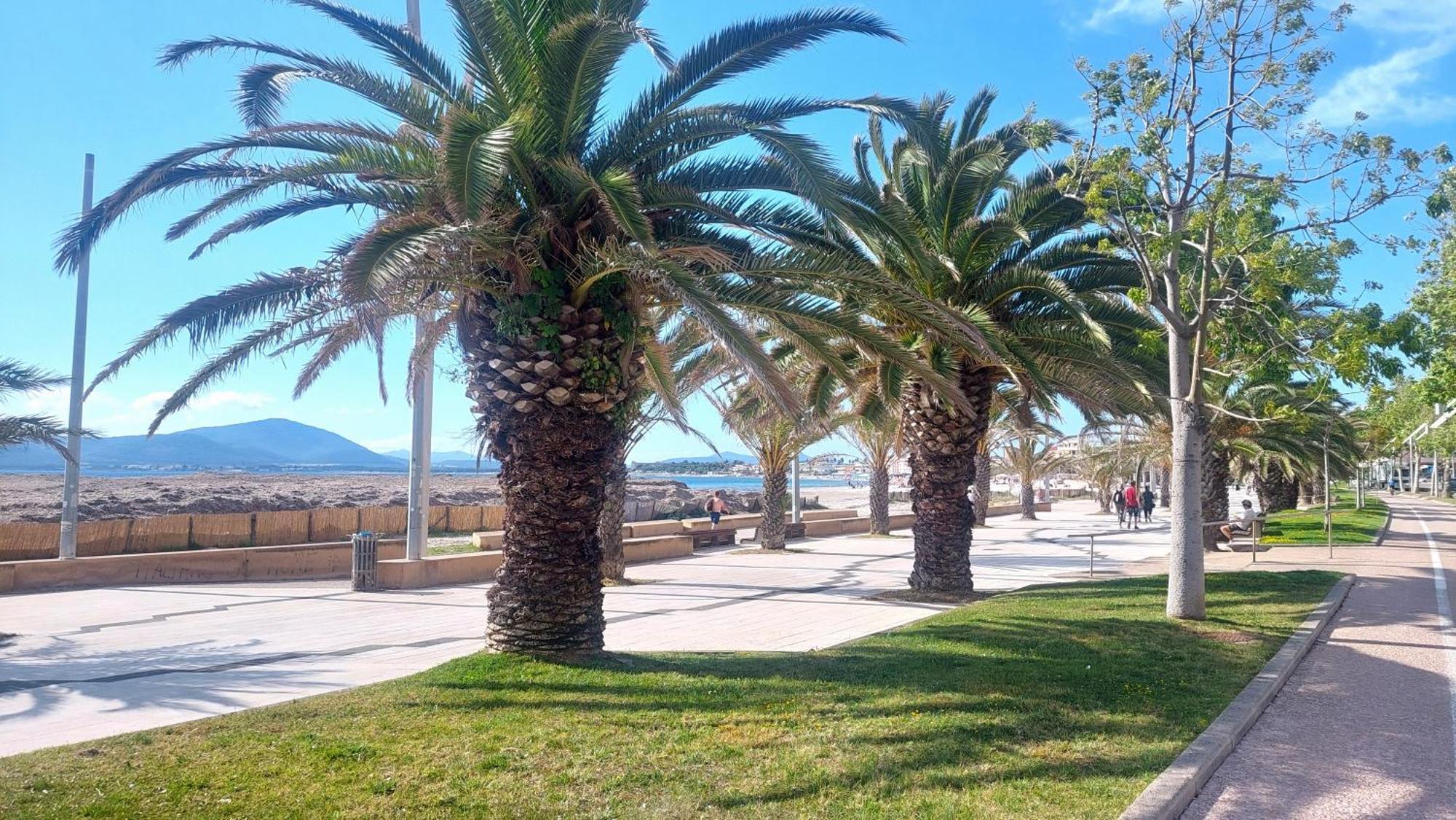 Lovealghero Stanze In Attico Vista Mare Eksteriør bilde